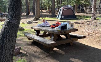 alain E.'s photo of camping with pets at Pineknot near Blue Jay, CA