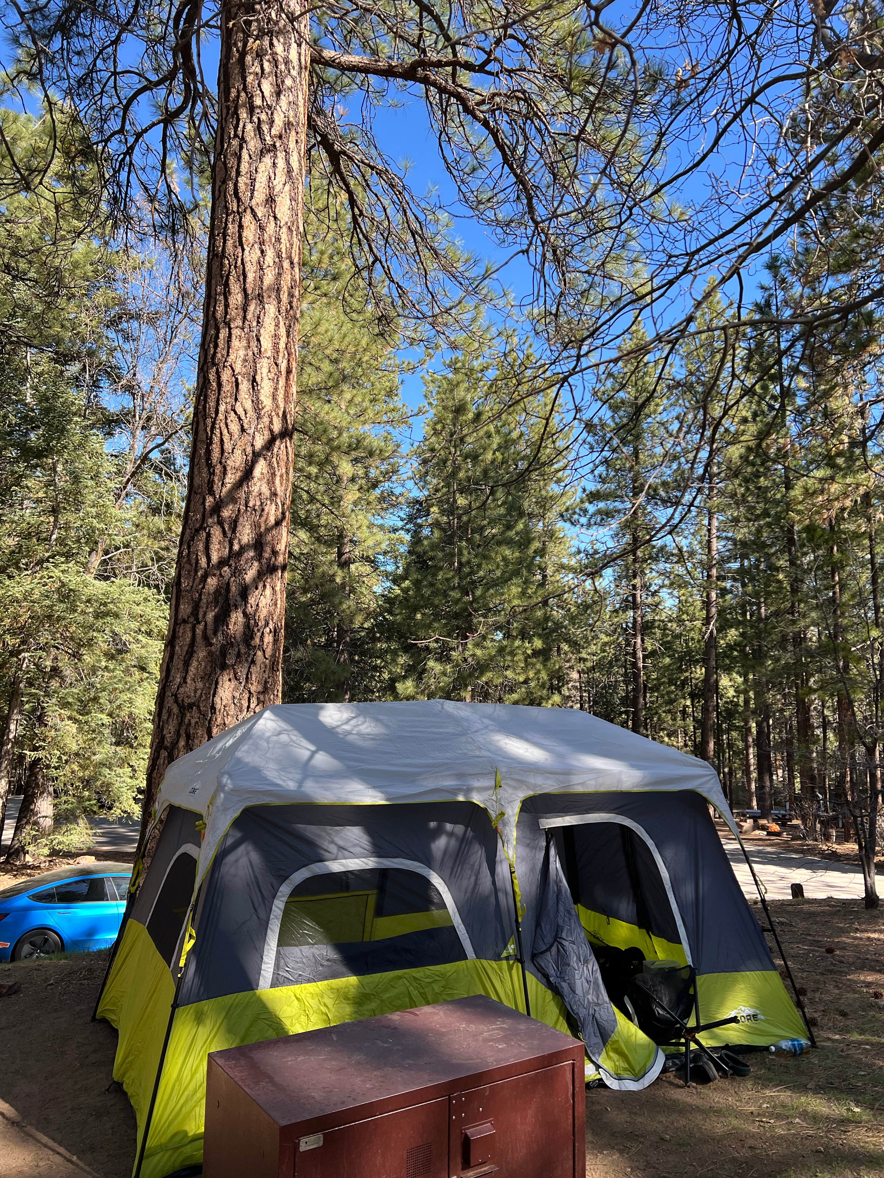 alain E.'s photo at Pineknot near Big Bear City, CA