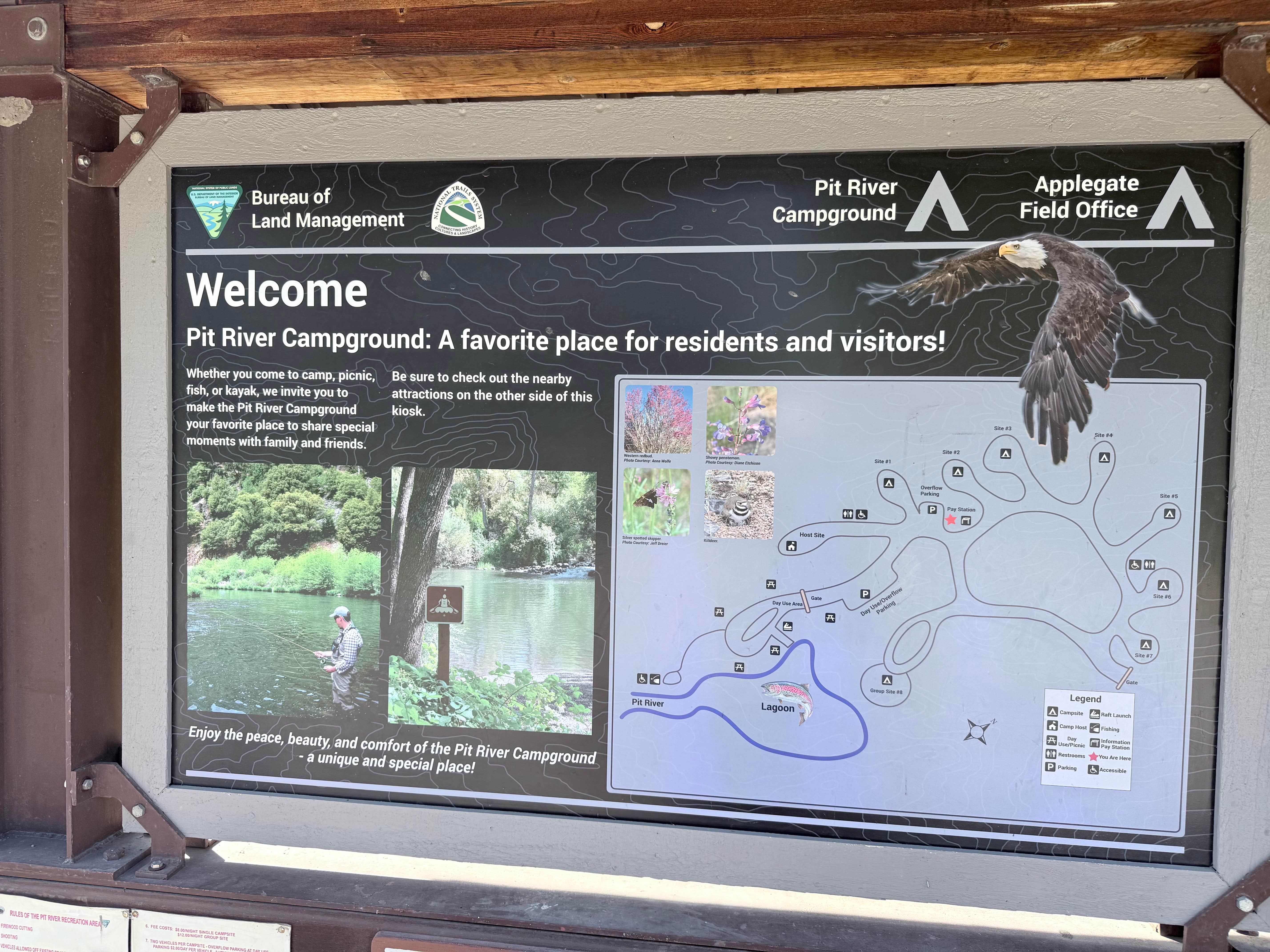 Camper-submitted photo at Pit River Campground near Cassel, CA