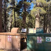 Review photo of Porcupine Flat Campground — Yosemite National Park by Kylee R., October 8, 2026