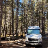 Review photo of Porcupine Flat Campground — Yosemite National Park by Kylee R., October 8, 2026