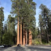 Review photo of Potwisha Campground — Sequoia National Park by Mary H., May 23, 2026