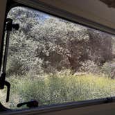 Review photo of Potwisha Campground — Sequoia National Park by Mary H., May 23, 2026
