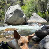 Review photo of Potwisha Campground — Sequoia National Park by Mary H., May 23, 2026