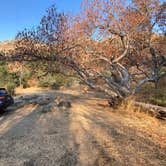 Review photo of Potwisha Campground — Sequoia National Park by Taylor A., September 7, 2024