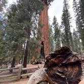 Review photo of Potwisha Campground — Sequoia National Park by Mary H., May 23, 2026