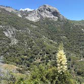 Review photo of Potwisha Campground — Sequoia National Park by Mary H., May 23, 2026