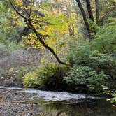 Review photo of Elk Prairie Campground — Prairie Creek Redwoods State Park by Tamara C., November 21, 2025