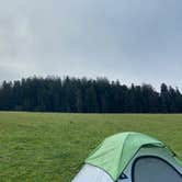 Review photo of Elk Prairie Campground — Prairie Creek Redwoods State Park by bailee , May 12, 2025