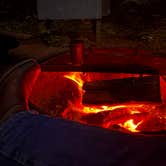 Review photo of Elk Prairie Campground — Prairie Creek Redwoods State Park by Vince N., April 19, 2026