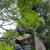 Review photo of Elk Prairie Campground — Prairie Creek Redwoods State Park by Daron C., August 17, 2026