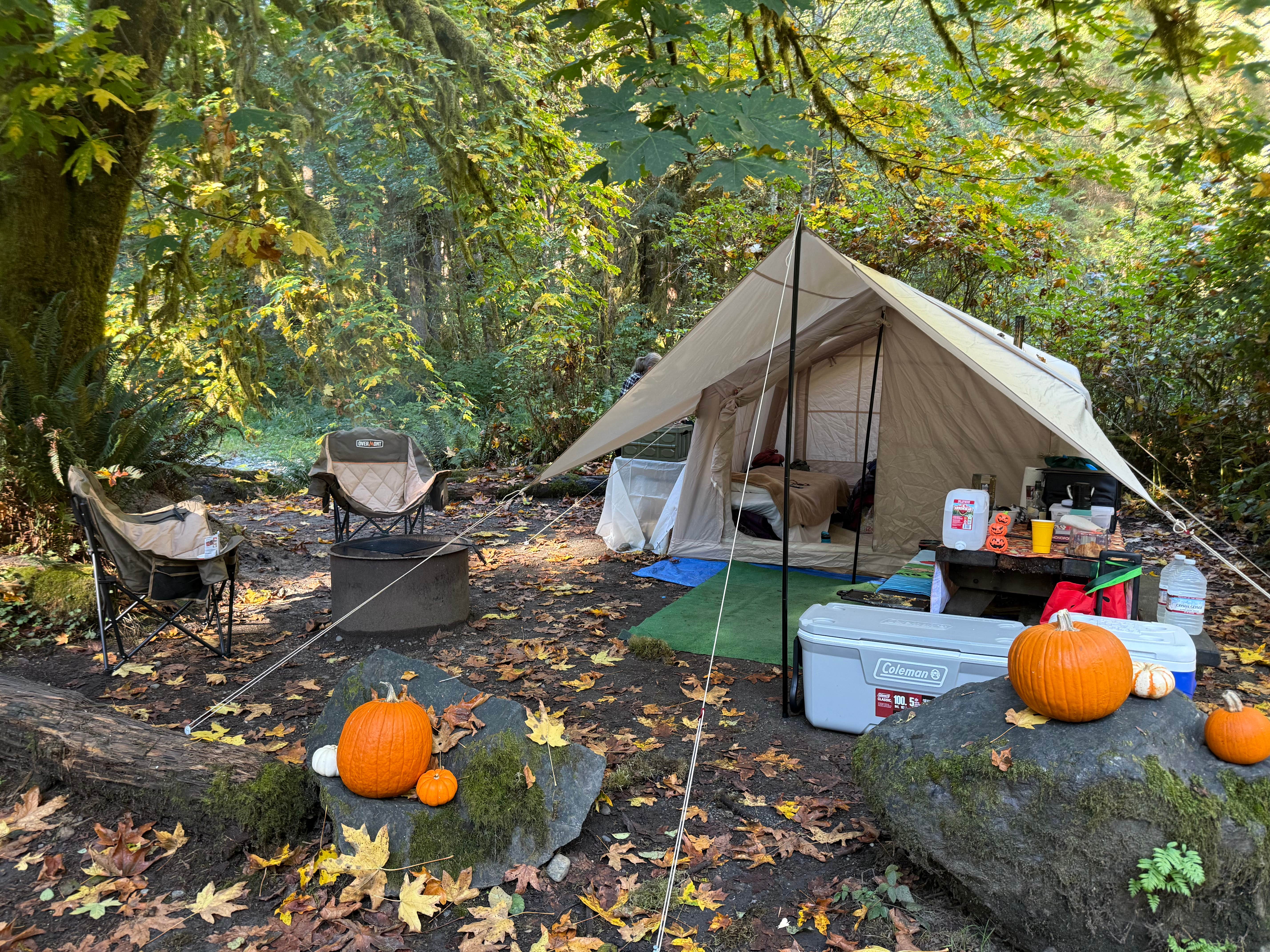 Tamara C.'s photo at Elk Prairie Campground — Prairie Creek Redwoods State Park near Klamath, CA