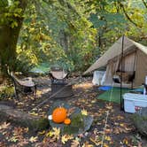 Review photo of Elk Prairie Campground — Prairie Creek Redwoods State Park by Tamara C., November 21, 2025