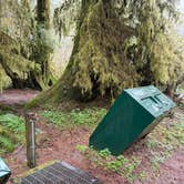 Review photo of Elk Prairie Campground — Prairie Creek Redwoods State Park by Paige P., February 25, 2026