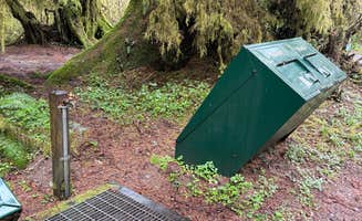 Paige P.'s photo at Elk Prairie Campground — Prairie Creek Redwoods State Park near Klamath, CA
