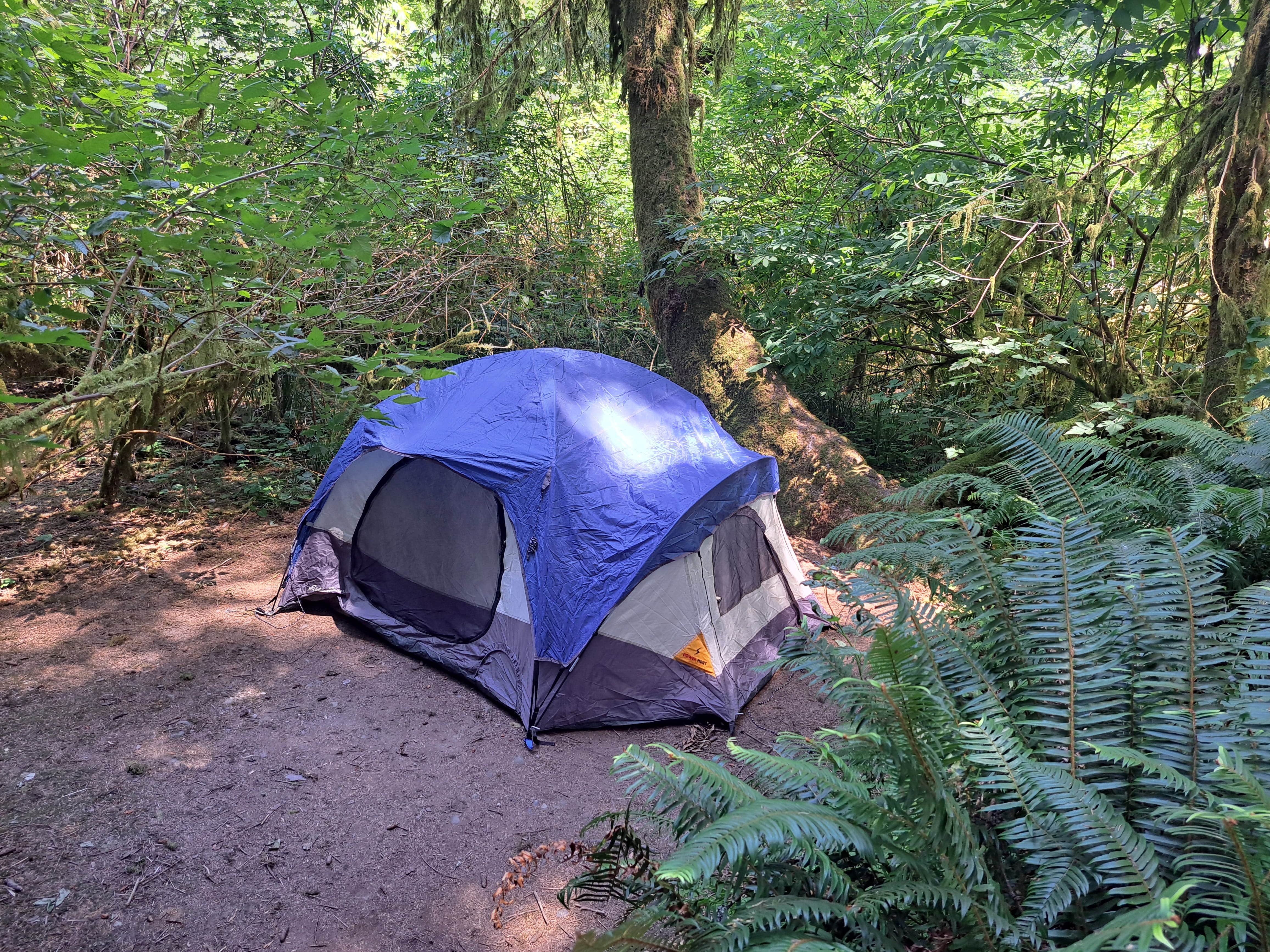 Crystal H.'s photo at Elk Prairie Campground — Prairie Creek Redwoods State Park near Klamath, CA