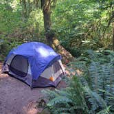 Review photo of Elk Prairie Campground — Prairie Creek Redwoods State Park by Crystal H., July 21, 2024