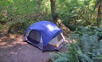 Crystal H.'s photo at Elk Prairie Campground — Prairie Creek Redwoods State Park near Redwood National Park