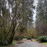 Review photo of Elk Prairie Campground — Prairie Creek Redwoods State Park by Paige P., February 25, 2026