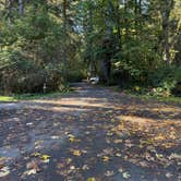 Review photo of Elk Prairie Campground — Prairie Creek Redwoods State Park by Tamara C., November 21, 2025
