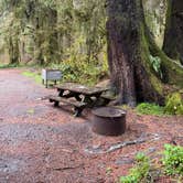 Review photo of Elk Prairie Campground — Prairie Creek Redwoods State Park by Paige P., February 25, 2026