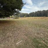 Review photo of Elk Prairie Campground — Prairie Creek Redwoods State Park by Tamara C., November 21, 2025