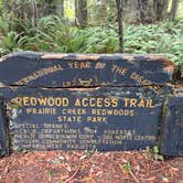 Review photo of Elk Prairie Campground — Prairie Creek Redwoods State Park by Tamara C., November 21, 2025
