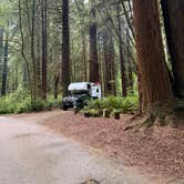 Review photo of Elk Prairie Campground — Prairie Creek Redwoods State Park by Vanessa C., July 9, 2026