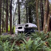 Review photo of Elk Prairie Campground — Prairie Creek Redwoods State Park by Vanessa C., July 9, 2026