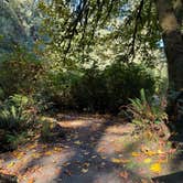 Review photo of Elk Prairie Campground — Prairie Creek Redwoods State Park by Tamara C., November 21, 2025