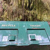 Review photo of Elk Prairie Campground — Prairie Creek Redwoods State Park by Paige P., February 25, 2026