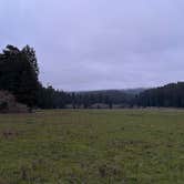 Review photo of Elk Prairie Campground — Prairie Creek Redwoods State Park by Bella H., March 21, 2024