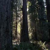 Review photo of Elk Prairie Campground — Prairie Creek Redwoods State Park by Bella H., March 21, 2024