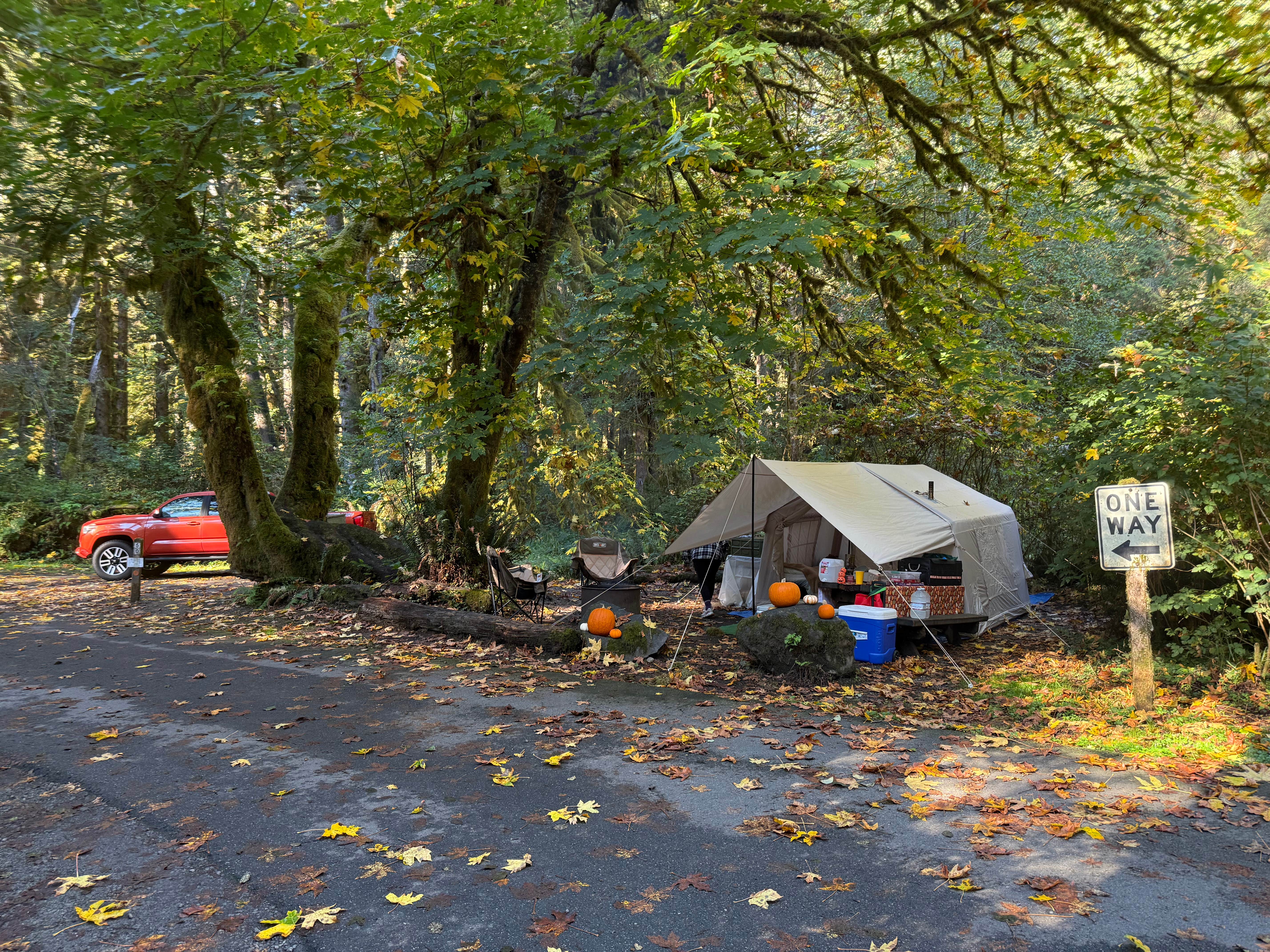 Tamara C.'s photo at Elk Prairie Campground — Prairie Creek Redwoods State Park near Redwood National Park