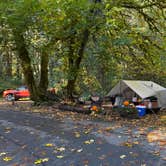 Review photo of Elk Prairie Campground — Prairie Creek Redwoods State Park by Tamara C., November 21, 2025
