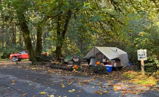 Tamara C.'s photo at Elk Prairie Campground — Prairie Creek Redwoods State Park near Klamath, CA