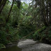 Review photo of Elk Prairie Campground — Prairie Creek Redwoods State Park by gisselle , July 10, 2025