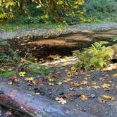 Review photo of Elk Prairie Campground — Prairie Creek Redwoods State Park by Tamara C., November 21, 2025
