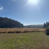 Review photo of Elk Prairie Campground — Prairie Creek Redwoods State Park by Tamara C., November 21, 2025