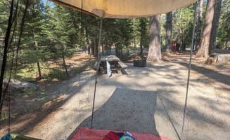 Kate S.'s photo at Princess near Hume, CA