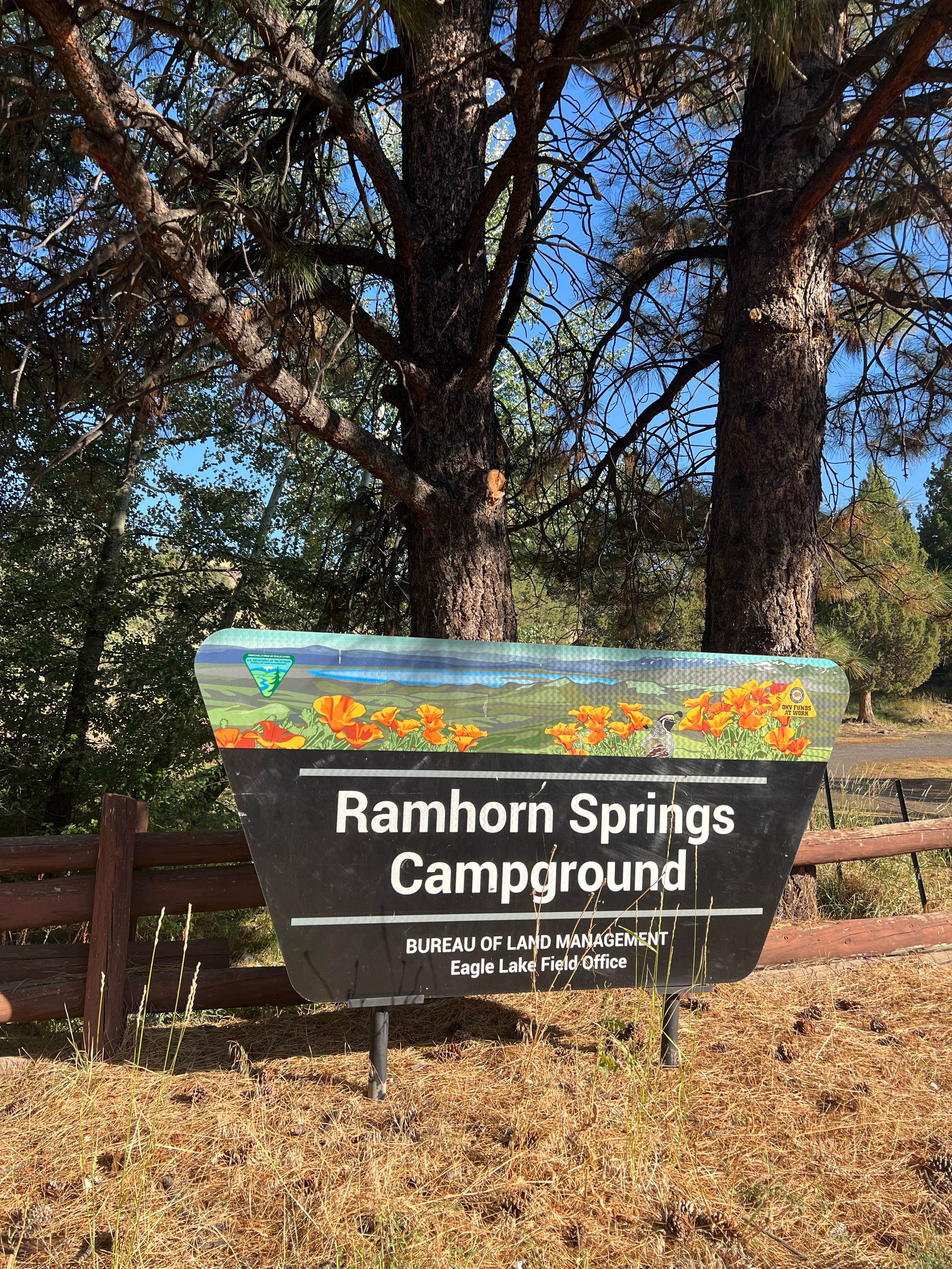 Camper-submitted photo at Ramhorn Springs Campground near Gerlach, NV