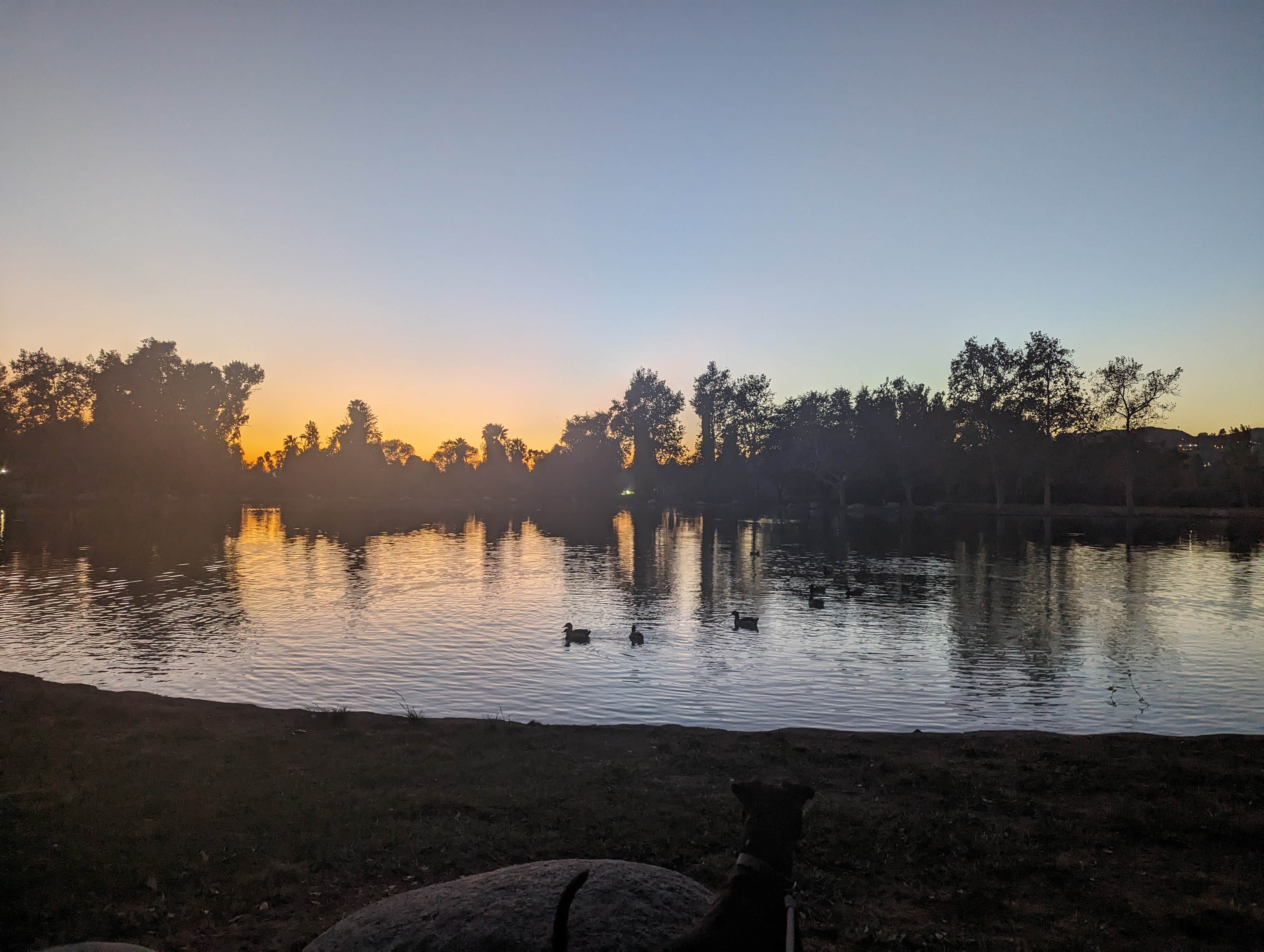 Kristi D.'s photo of camping with pets at Rancho Jurupa RV Park near Fontana, CA