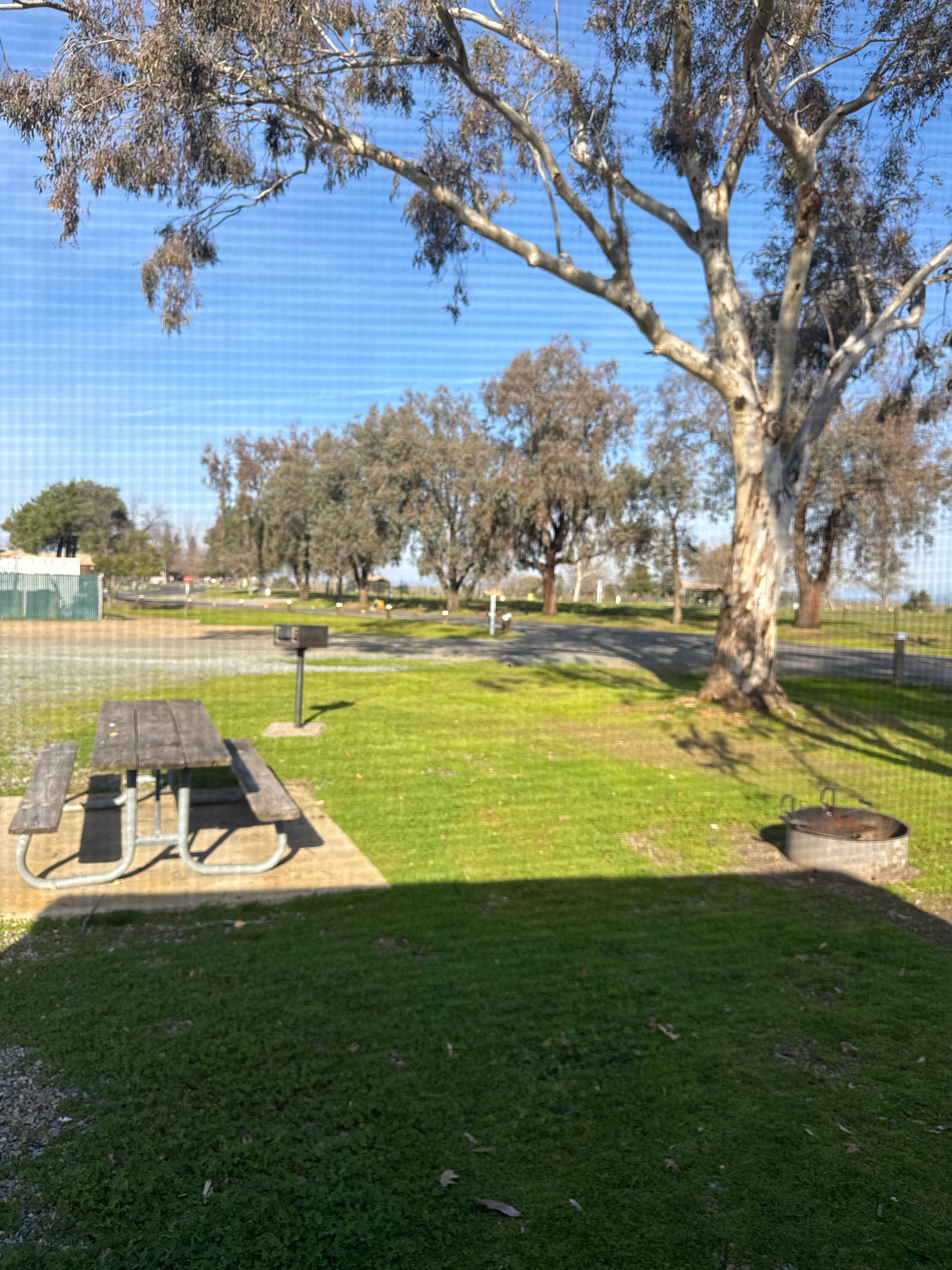 Camper-submitted photo at Rancho Seco Recreation Area near Clarksburg, CA