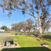 Review photo of Rancho Seco Recreation Area by Chris M., February 19, 2026