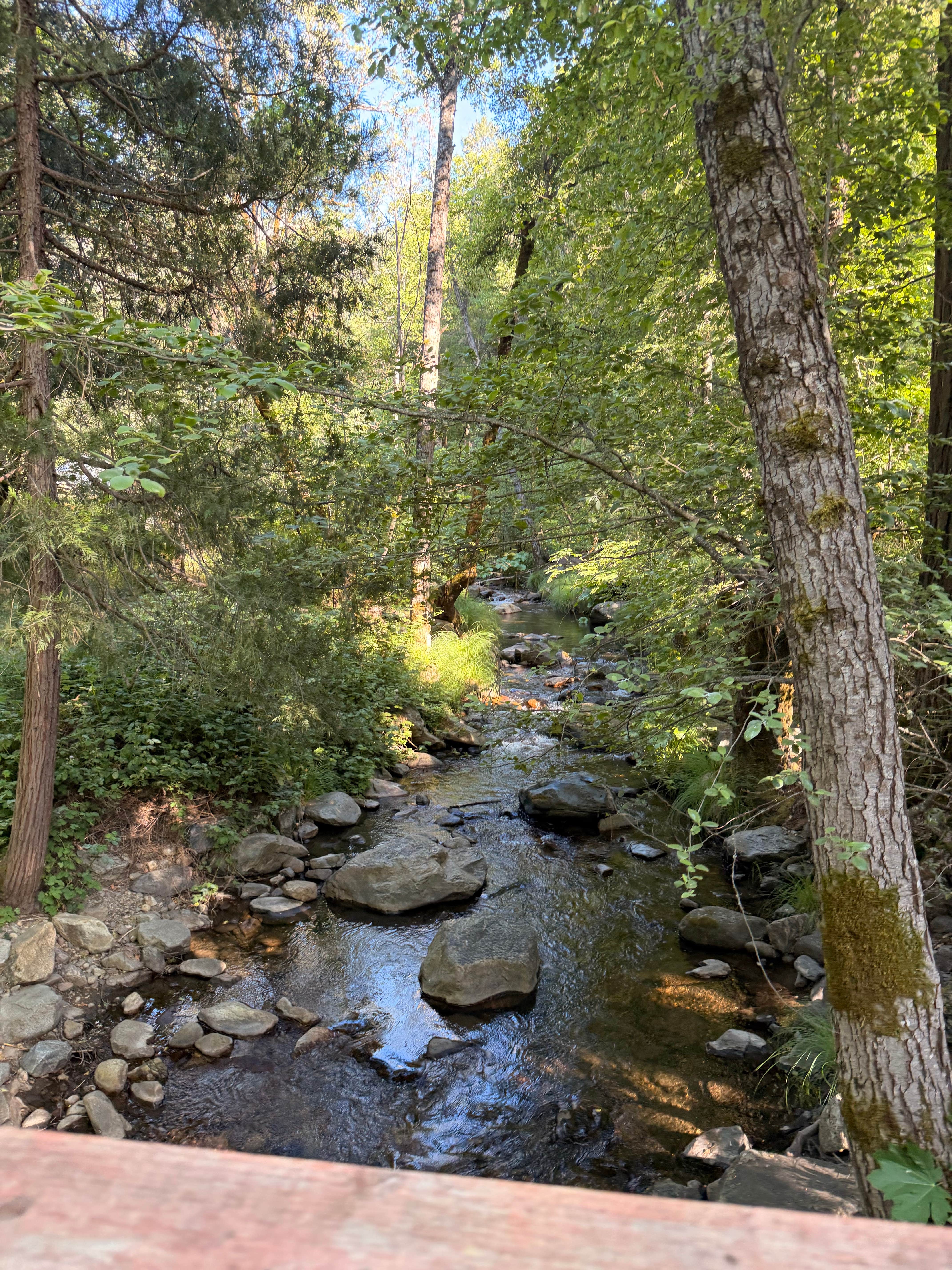 Camper-submitted photo at River Ranch Campground near Sonora, CA