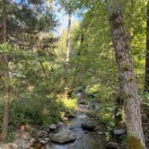 Review photo of River Ranch Campground by Delaney N., May 26, 2026