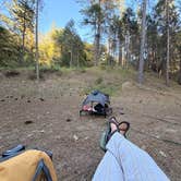 Review photo of River Ranch Campground by Delaney N., May 26, 2026