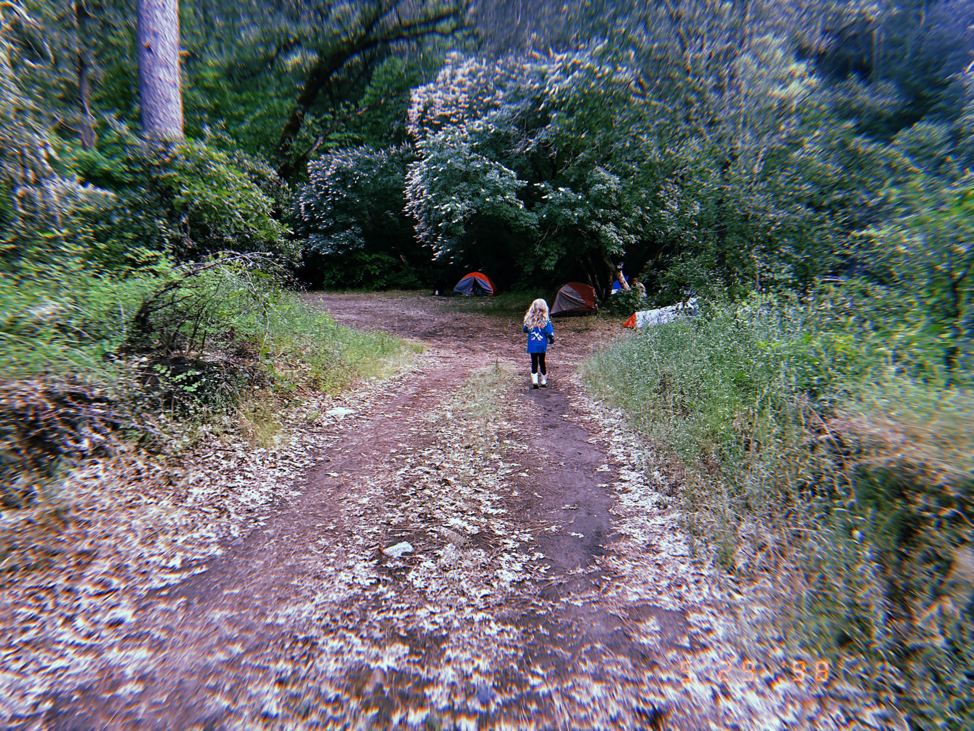 Camper-submitted photo at River Ranch Campground near Sonora, CA