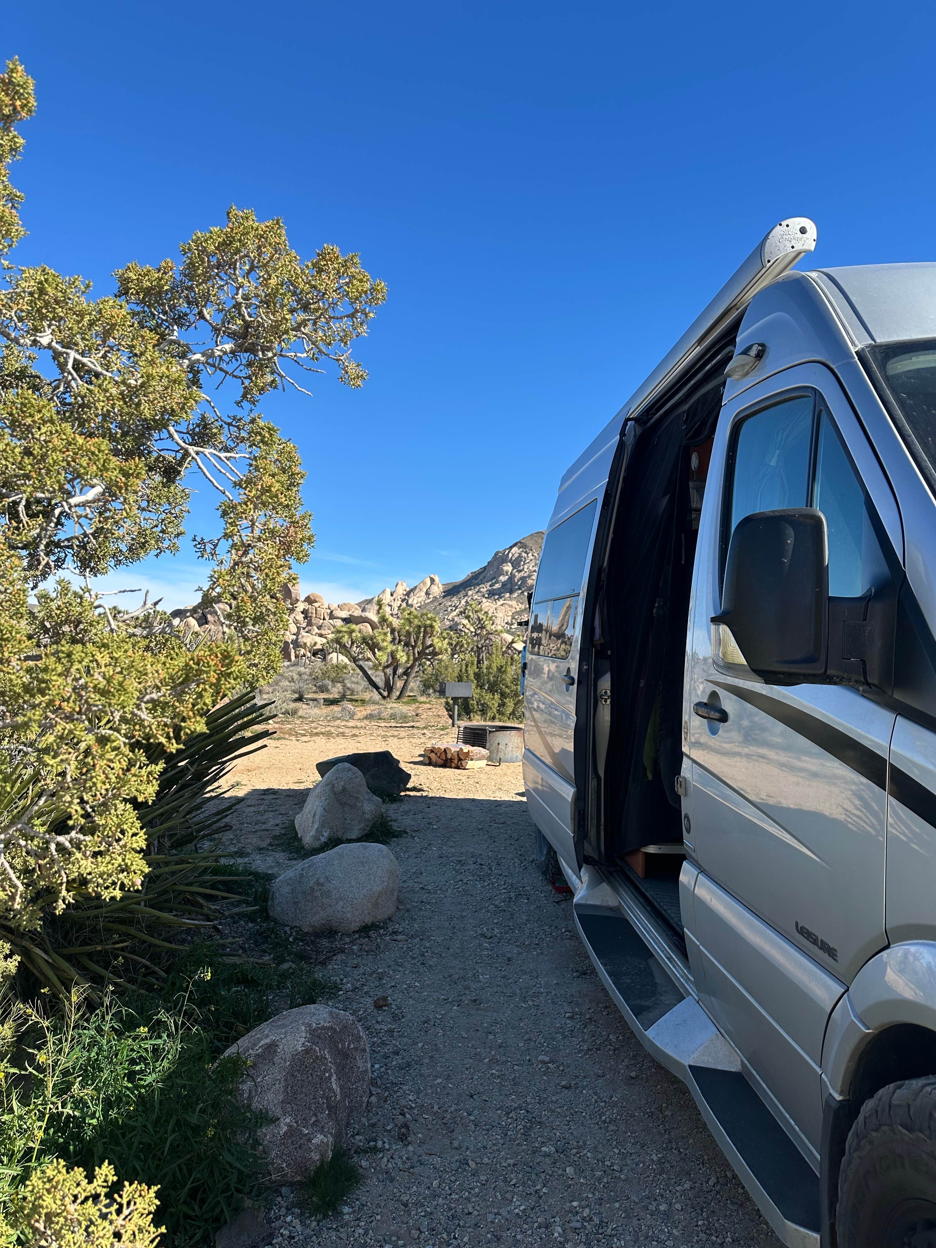 Teresa A.'s photo of rv camping at Ryan Campground — Joshua Tree National Park near Amboy, CA