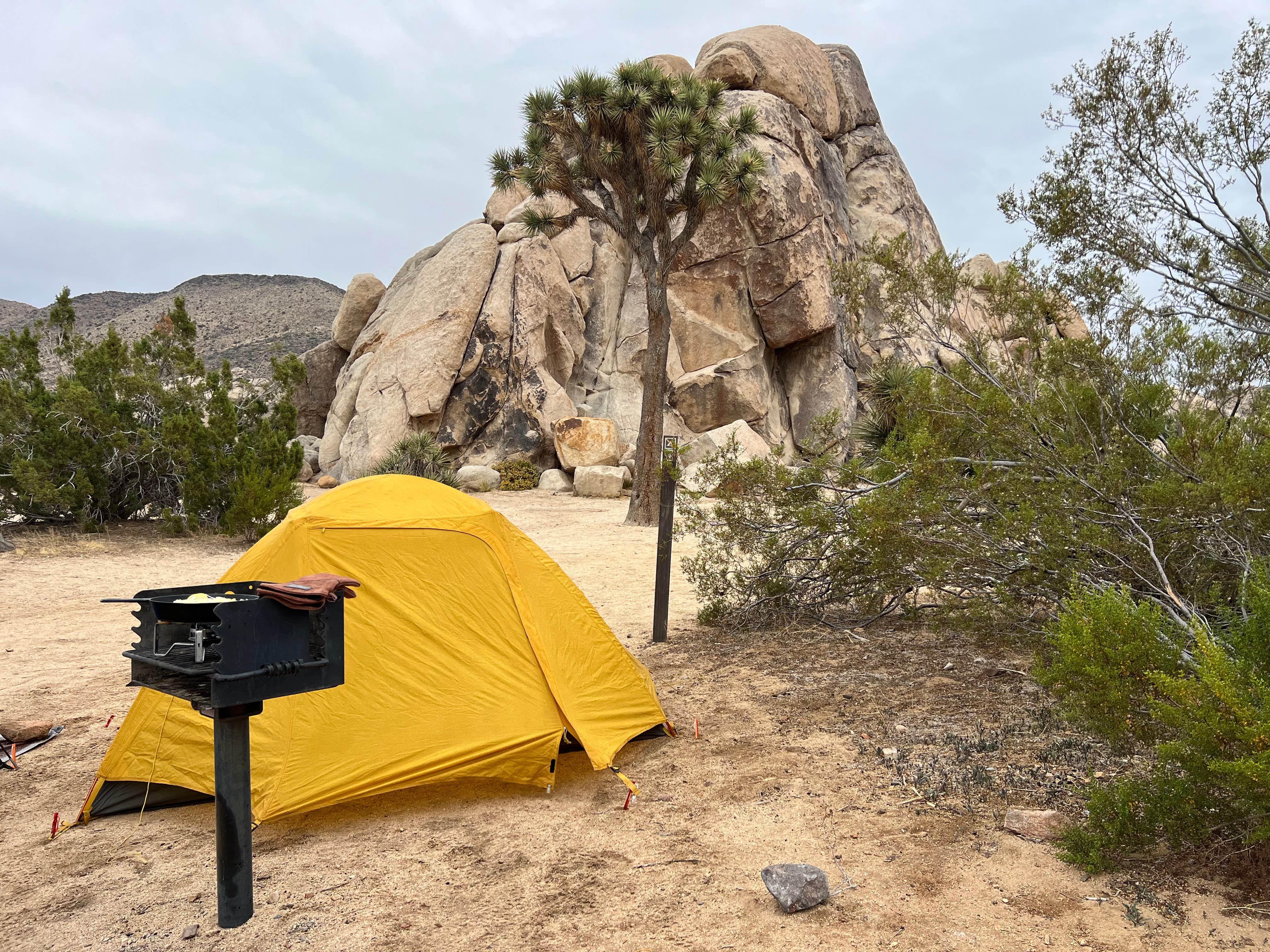 seth B.'s photo at Ryan Campground — Joshua Tree National Park near Joshua Tree National Park